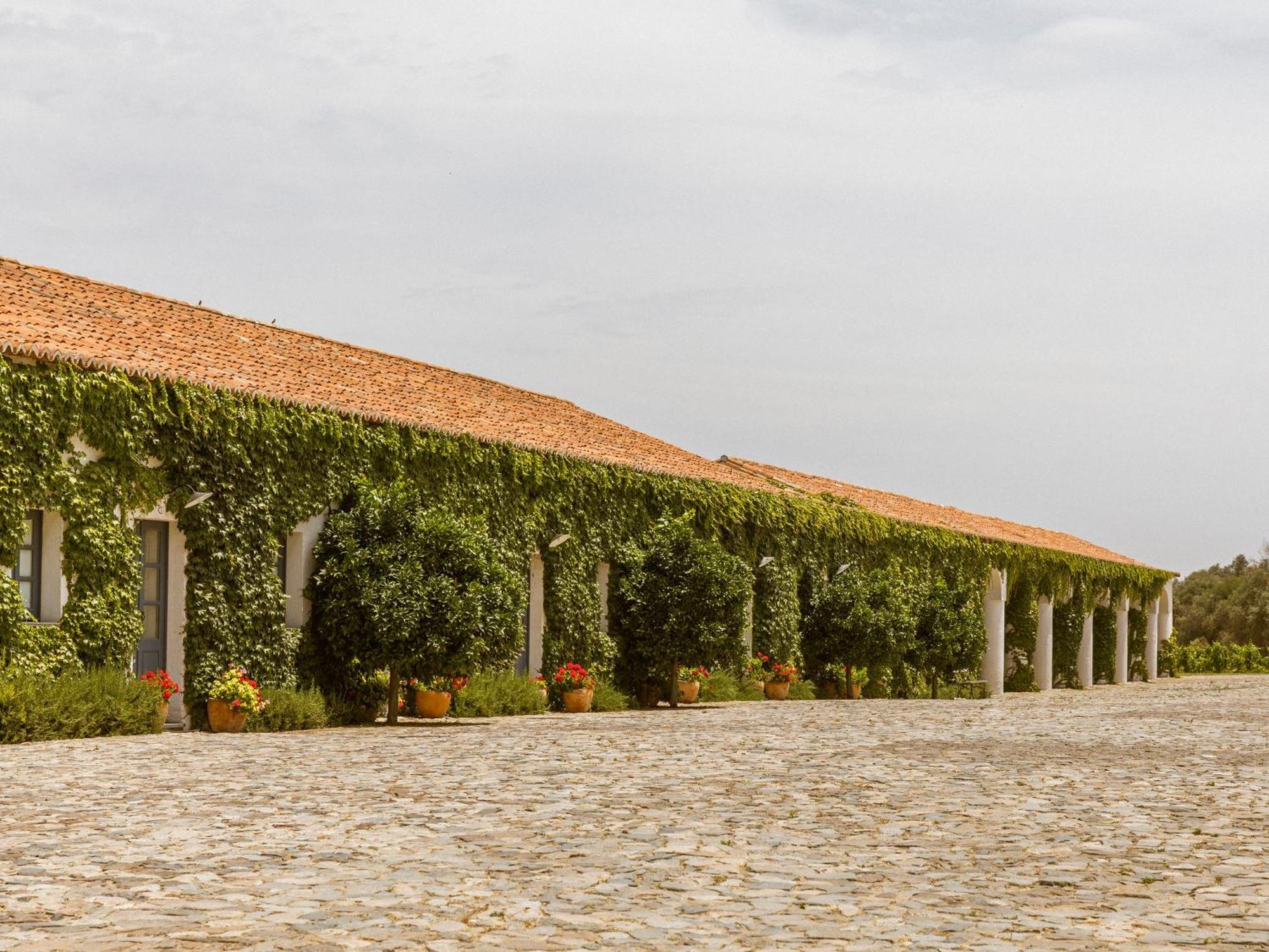 Sao Lourenco Do Barrocal Monsaraz Bilik gambar