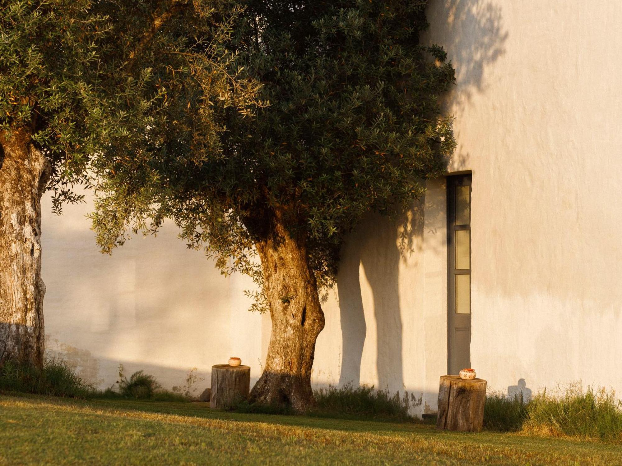 Sao Lourenco Do Barrocal Monsaraz Bilik gambar
